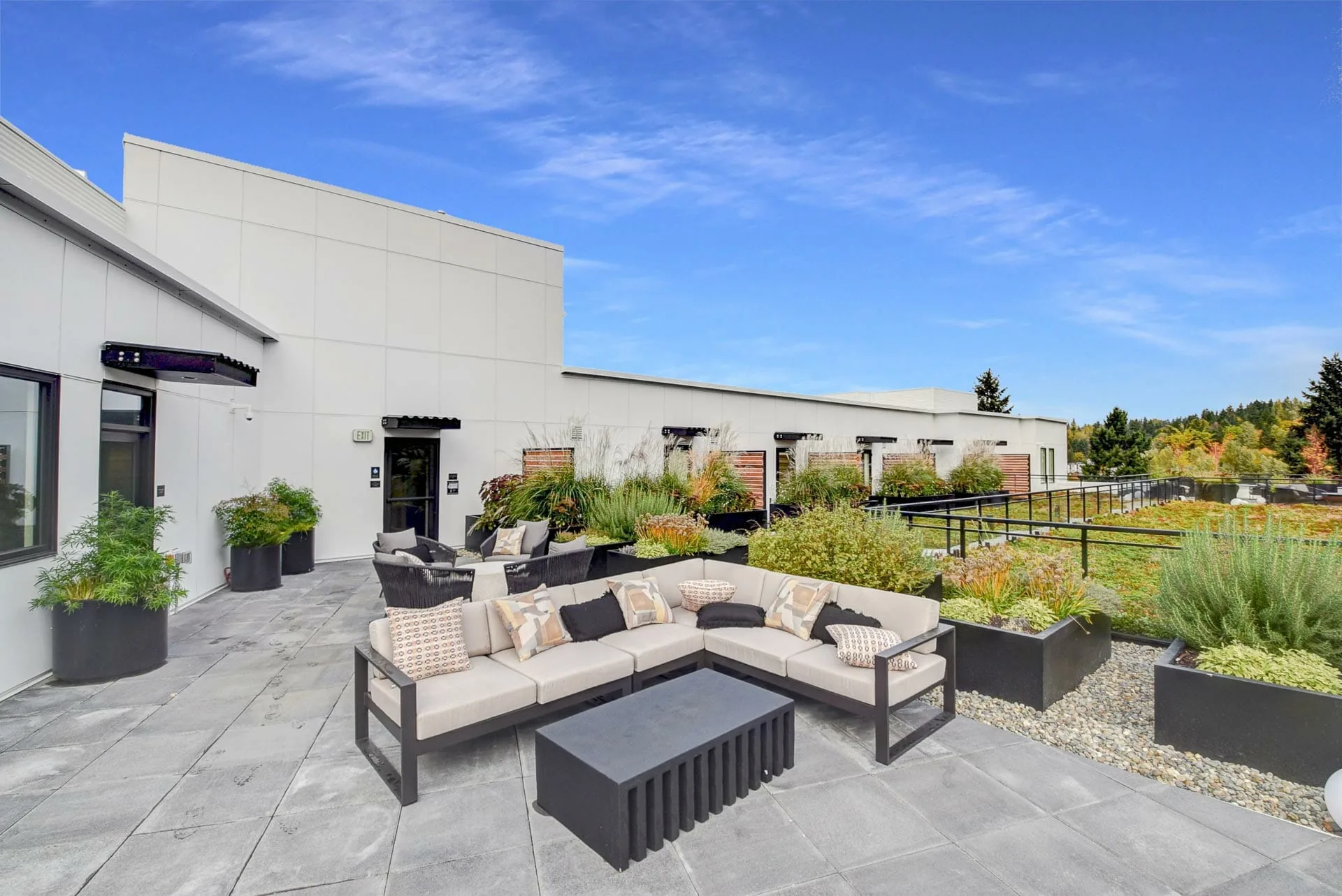 Aria Flats Sammamish by Hedlund Painting